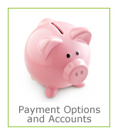 Payment options and accounts